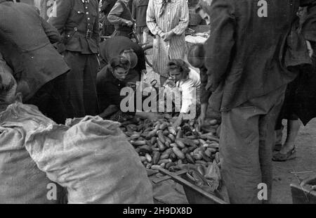 Gdynia, 1947-10. Targowisko przed hal¹ przy ul. Wójta Radta. NZ. Sprzeda¿ ogórków. wb/gr PAP Dok³adny dzieñ wydarzenia nieustalony. Gdynia, 1947. Oktober. Marktplatz vor einer Markthalle in der Wojta Radta Straße. Abgebildet: Verkauf von Gurken. wb/gr PAP Stockfoto