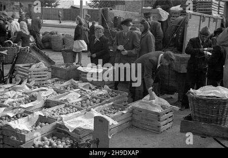 Gdynia, 1947-10. Targowisko przed hal¹ przy ul. Wójta Radta. NZ. Sprzeda¿ jab³ek. wb/gr PAP Dok³adny dzieñ wydarzenia nieustalony. Gdynia, 1947. Oktober. Marktplatz vor einer Markthalle in der Wojta Radta Straße. Abgebildet: Äpfel verkaufen. wb/gr PAP Stockfoto