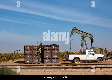 Landwirtschaftliche Arbeiter neben dem Ölbrunnen im Mountain View Oil Field, Arvin, Kern County, Kalifornien, USA Stockfoto