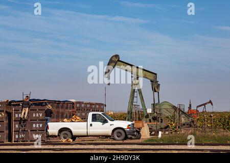 Landwirtschaftliche Arbeiter neben dem Ölbrunnen im Mountain View Oil Field, Arvin, Kern County, Kalifornien, USA Stockfoto