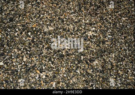 Das Foto zeigt die Textur von Meeressteinen. Kieselsteine sind schwarz, klein, Durchmesser eines Kieselsteins beträgt ca. 2-4 cm. Unter schwarzen Meereskieseln gibt es weiße und Stockfoto