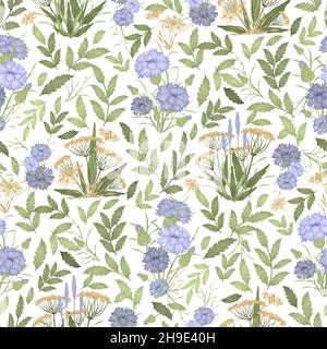 Florales Nahtmuster mit Wildblumen. Pflanzenbeschreibung Stock Vektor