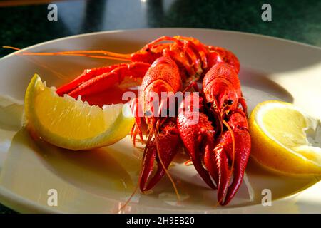 Abendessen mit gekochten buttrigen Krebsen und Meeresfrüchten, serviert mit Zitronenkeilen Stockfoto