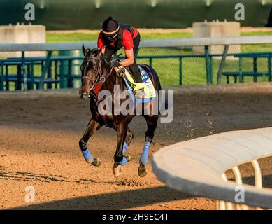 Louisville, USA. 27th April 2021. Medina Spirit, trainiert von Trainer Bob Baffert, trainiert in Vorbereitung auf das Kentucky Derby bei Churchill Downs am 27. April 2021 in Louisville, Kentucky. (Foto von Scott Serio/CSM/Sipa USA) Quelle: SIPA USA/Alamy Live News Stockfoto