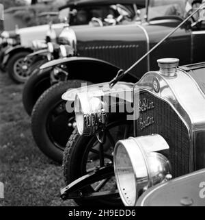 Oldtimer-Autos standen auf einem Rasen Stockfoto