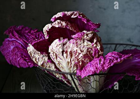 Eine Schaukel von frischem purpurem (sehr perifarbenem) chinesischen (Peking-)Kohl in einem Korb auf einem dunklen Holzhintergrund. Gesundes Esskonzept, gehen Sie vegan. Low-Taste Stockfoto