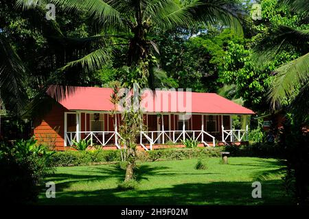 Costa Rica Tortuguero National Park - Parque Nacional Tortuguero - Haus in Tortuguero Village Stockfoto