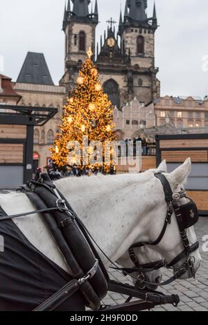 Prag, Tschechische Republik. 06th Dez 2021. Pferde werden vor dem beleuchteten Weihnachtsbaum auf dem Altstädter Ring in Prag gesehen. Der berühmte Prager Altstädter Weihnachtsmarkt wird aufgrund der Coronavirus-Pandemie und der derzeitigen Einschränkung des Ausnahmezustands in der Tschechischen Republik geschlossen. Kredit: SOPA Images Limited/Alamy Live Nachrichten Stockfoto