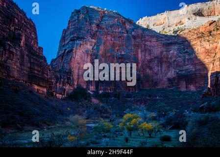 Massive rote Felsklippen ragen über dem Virgin River im Zions National Park. Diese Ansicht wird Big Bend genannt. Solche Ausblicke sind im Park üblich. Stockfoto