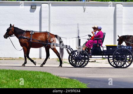 Lagrange, Indiana, USA. Nach dem Einkaufen geht ein Paar aus Amish in einer kleinen Gemeinde im Nordosten von Indiana in ihrer Pferdekutsche oder im Buggy nach Hause. Stockfoto