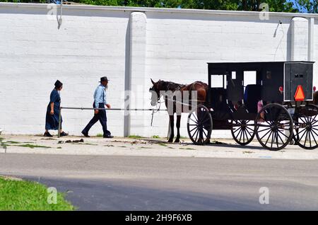 Lagrange, Indiana, USA. Nach dem Einkaufen kehrt ein Paar aus Amish zu ihrer Pferdekutsche zurück. Stockfoto