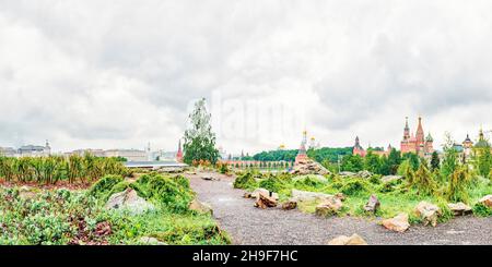 Steine, Moose, Flechten, Gräser und Bäume im Zentrum von Moskau im Zaryadye Park Stockfoto