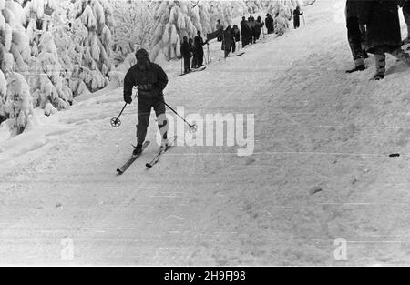 Karpacz, 1948-02-19. W dniach od 18 do 22 lutego odbywa³y siê Mistrzostwa Narciarskie Polski. NZ. bieg zjazdowy rozgrywany na stokach Ma³ej kopy pod Œnie¿k¹. msa PAP Karpacz, 19. Februar 1948. Die polnische Ski-Meisterschaft wurde vom 18. Bis 22. Februar abgehalten. Im Bild: Ein Downhillrennen auf Mala Kopa am Fuße des Sniezka. msa PAP Stockfoto