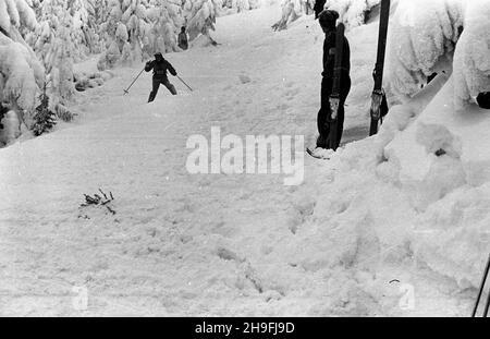 Karpacz, 1948-02-19. W dniach od 18 do 22 lutego odbywa³y siê Mistrzostwa Narciarskie Polski. NZ. bieg zjazdowy rozgrywany na stokach Ma³ej kopy pod Œnie¿k¹. msa PAP Karpacz, 19. Februar 1948. Die polnische Ski-Meisterschaft wurde vom 18. Bis 22. Februar abgehalten. Im Bild: Ein Downhillrennen auf Mala Kopa am Fuße des Sniezka. msa PAP Stockfoto