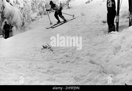 Karpacz, 1948-02-19. W dniach od 18 do 22 lutego odbywa³y siê Mistrzostwa Narciarskie Polski. NZ. bieg zjazdowy rozgrywany na stokach Ma³ej kopy pod Œnie¿k¹. msa PAP Karpacz, 19. Februar 1948. Die polnische Ski-Meisterschaft wurde vom 18. Bis 22. Februar abgehalten. Im Bild: Ein Downhillrennen auf Mala Kopa am Fuße des Sniezka. msa PAP Stockfoto