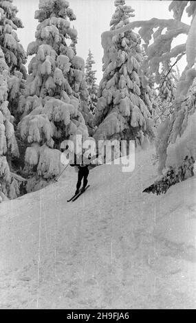 Karpacz, 1948-02-19. W dniach od 18 do 22 lutego odbywa³y siê Mistrzostwa Narciarskie Polski. NZ. bieg zjazdowy rozgrywany na stokach Ma³ej kopy pod Œnie¿k¹. msa PAP Karpacz, 19. Februar 1948. Die polnische Ski-Meisterschaft wurde vom 18. Bis 22. Februar abgehalten. Im Bild: Ein Downhillrennen auf Mala Kopa am Fuße des Sniezka. msa PAP Stockfoto