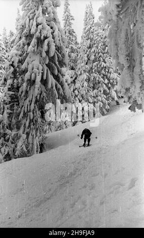 Karpacz, 1948-02-19. W dniach od 18 do 22 lutego odbywa³y siê Mistrzostwa Narciarskie Polski. NZ. bieg zjazdowy rozgrywany na stokach Ma³ej kopy pod Œnie¿k¹. msa PAP Karpacz, 19. Februar 1948. Die polnische Ski-Meisterschaft wurde vom 18. Bis 22. Februar abgehalten. Im Bild: Ein Downhillrennen auf Mala Kopa am Fuße des Sniezka. msa PAP Stockfoto