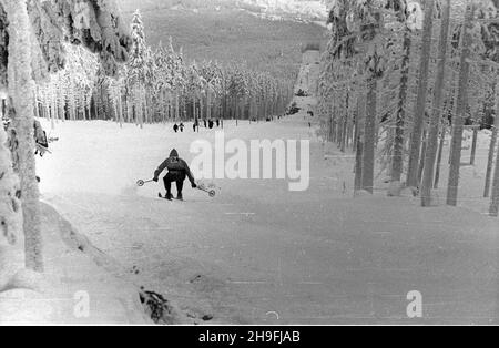 Karpacz, 1948-02-19. W dniach od 18 do 22 lutego odbywa³y siê Mistrzostwa Narciarskie Polski. NZ. bieg zjazdowy rozgrywany na stokach Ma³ej kopy pod Œnie¿k¹. msa PAP Karpacz, 19. Februar 1948. Die polnische Ski-Meisterschaft wurde vom 18. Bis 22. Februar abgehalten. Im Bild: Ein Downhillrennen auf Mala Kopa am Fuße des Sniezka. msa PAP Stockfoto