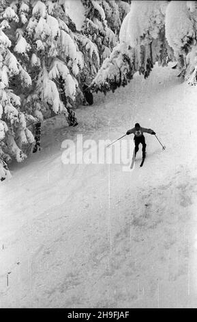 Karpacz, 1948-02-19. W dniach od 18 do 22 lutego odbywa³y siê Mistrzostwa Narciarskie Polski. NZ. bieg zjazdowy rozgrywany na stokach Ma³ej kopy pod Œnie¿k¹. msa PAP Karpacz, 19. Februar 1948. Die polnische Ski-Meisterschaft wurde vom 18. Bis 22. Februar abgehalten. Im Bild: Ein Downhillrennen auf Mala Kopa am Fuße des Sniezka. msa PAP Stockfoto