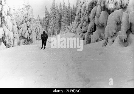 Karpacz, 1948-02-19. W dniach od 18 do 22 lutego odbywa³y siê Mistrzostwa Narciarskie Polski. NZ. bieg zjazdowy rozgrywany na stokach Ma³ej kopy pod Œnie¿k¹. msa PAP Karpacz, 19. Februar 1948. Die polnische Ski-Meisterschaft wurde vom 18. Bis 22. Februar abgehalten. Im Bild: Ein Downhillrennen auf Mala Kopa am Fuße des Sniezka. msa PAP Stockfoto