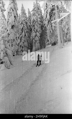 Karpacz, 1948-02-19. W dniach od 18 do 22 lutego odbywa³y siê Mistrzostwa Narciarskie Polski. NZ. bieg zjazdowy rozgrywany na stokach Ma³ej kopy pod Œnie¿k¹. msa PAP Karpacz, 19. Februar 1948. Die polnische Ski-Meisterschaft wurde vom 18. Bis 22. Februar abgehalten. Im Bild: Ein Downhillrennen auf Mala Kopa am Fuße des Sniezka. msa PAP Stockfoto