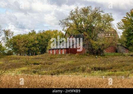 Farm mit einer roten Scheune und Ziegelsilo mit einem Baum im Vordergrund. Stockfoto