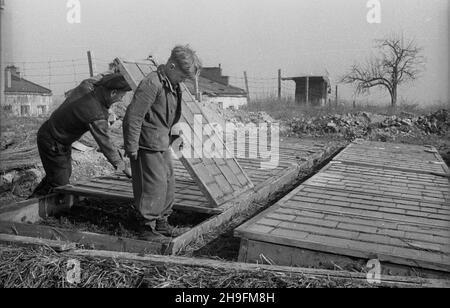 Warszawa, 1948-03. Dom dla ch³opców – sierot wojennych przy ul. Pu³awskiej 97, prowadzony przy pomocy materialnej z Miêdzynarodowego Funduszu Pomocy Dzieciom i M³odzie¿y przy ONZ. NZ. Wychowankowie podczas pracogrodniczych na terenie placówki. Ch³opcy buduj¹ inspekty dla roœlin. uu PAP Dok³adny dzieñ wydarzenia nieustalony. Warschau, März 1948. Das Heim für Jungen - Kriegswaisen in der Pulawska-Straße 97, wird mit finanzieller Unterstützung des Internationalen Kinder- und Jugendhilfefonds der Vereinten Nationen geführt. Im Bild: Jungs während der Gartenarbeit - Baurahmen. uu PAP Stockfoto