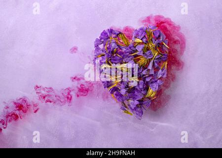 Herz aus getrockneten lila Blüten, schwimmend auf Wasser über einem Herz aus Blut Stockfoto