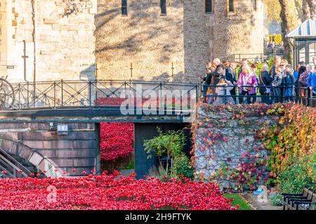 Blood Swept Lands and Seas of Red, eine 2014 im Graben des Tower of London anlässlich des 100. Jahrestages des Großen Krieges in Großbritannien installierte Installationskunst Stockfoto