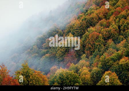 Nebliger Sonnenaufgang in den Bergen in Selva de Irati, Navarra, Spanien Stockfoto