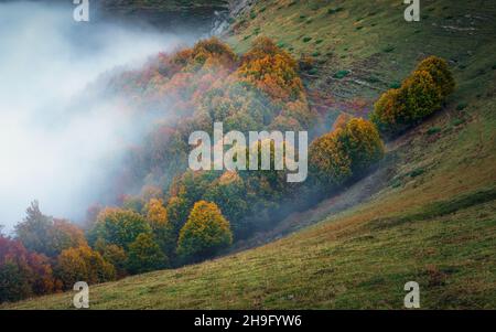 Wolkiger Morgen in Selva de Irati, Navarra, Spanien Stockfoto