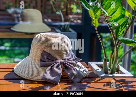 Sommerhut in der Nähe von Sansibar Edelsteinbaum auf einem hölzernen Relaxsessel für den Urlaub Hintergrund. Selektiver Fokus. Stockfoto