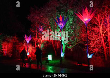 Besucher erkunden den Outdoor Light Trail im Winter Glow, im Three Counties Showground in Malvern, Worcestershire. Bilddatum: Montag, 6. Dezember 2021. Stockfoto