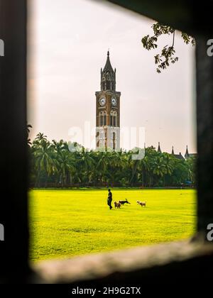 MUMBAI, INDIEN - 2. Oktober 2021 - nicht identifizierter Mann, der mit Haustierhunden auf dem Oval Ground, Mumbai, spielt, mit dem historischen Gebäude der Universität von Mumbai in der Stockfoto