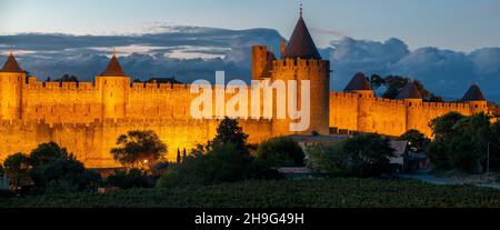 Beleuchtete Festungsmauern von Carcassonne von den Weinbergen rund um das City-Panorama aus gesehen. Stockfoto