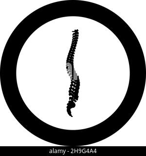 Wirbelsäule Wirbelsäule Wirbelsäule Rückgrat Symbol im Kreis rund schwarz Farbe Vektor Illustration Bild solide Kontur Stil einfach Stock Vektor