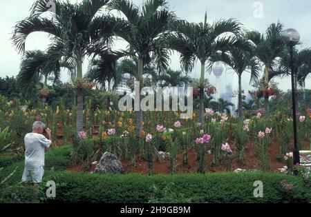 Der Orchideengarten in der Stadt Kuala Lumpur in Malaysia. Malaysia, Kuala Lumpur, Januar 2003 Stockfoto