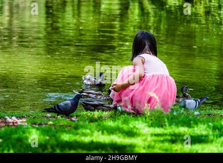 Schöne Aufnahme eines Kindes, das die Enten in der Nähe des Sees in einem Park füttert Stockfoto