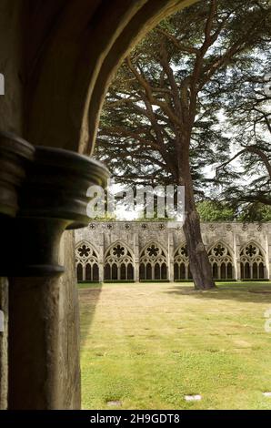 Blick auf den Turm und den Turm der Kathedrale von Salisbury Wiltshire England Stockfoto