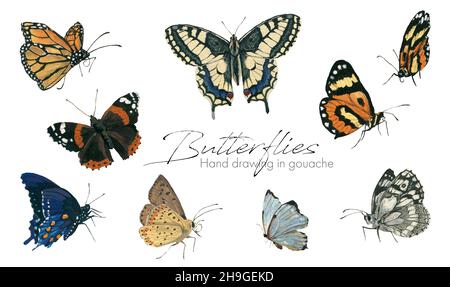 Satz von Elementen. Schmetterlinge auf weißem Hintergrund. Handzeichnung in Gouache Stockfoto