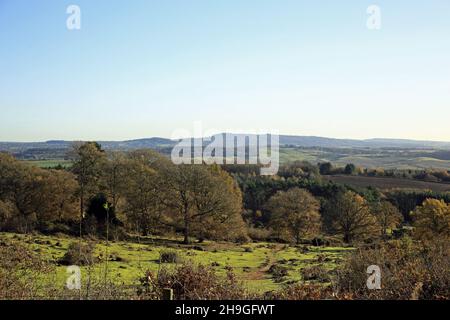 Blick über die Tieflandheide am Kinver Edge, Staffordshire, England, Großbritannien. Stockfoto