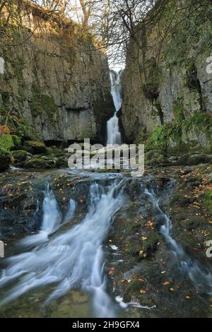 Wasserfälle bei Catrifgg Force, nur einen kurzen Spaziergang vom Dorf Stainforth im Yorkshire Dales National Park, North Yorkshire, Großbritannien Stockfoto