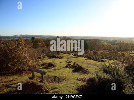 Blick über die Tieflandheide am Kinver Edge, Staffordshire, England, Großbritannien. Stockfoto