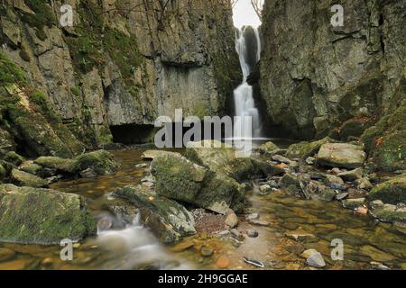 Wasserfälle bei Catrifgg Force, nur einen kurzen Spaziergang vom Dorf Stainforth im Yorkshire Dales National Park, North Yorkshire, Großbritannien Stockfoto