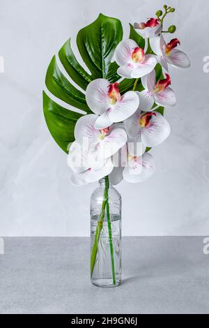Blumenstrauß in einer Vase, weiße Orchideen in einer Glasflasche auf einem grauen Tisch. Inneneinrichtung. Blumenstillleben, Grußkarte, Sommerkompos Stockfoto