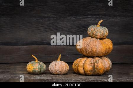 Gruppe von Kürbissen auf dem dunklen alten Holzhintergrund. Ernte verschiedene Arten von Kürbissen Stockfoto