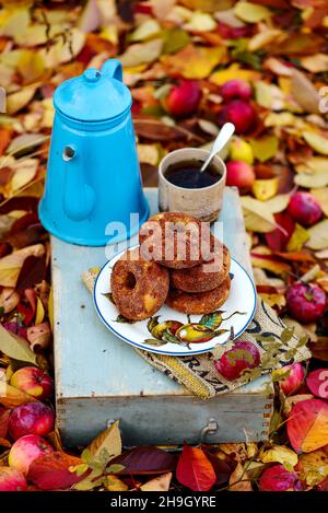 Apfelmost-Donuts im Herbstgarten. Selektiver Fokus Stockfoto