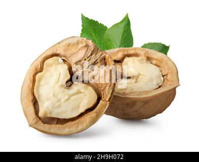 Hälften aus Walnuss und grünen Blättern isoliert auf weiß Stockfoto