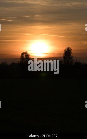 Sonnenuntergang mit brennendem Himmel hinter den Bäumen. Kräftige warme Farben Stockfoto