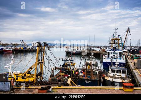 Fischerboote am Hafen von Brixham in Devon. Stockfoto